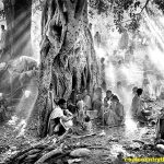 Review Film Salt of the Earth